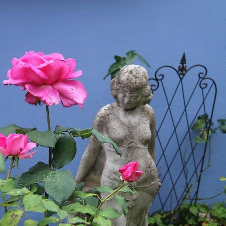 No.31 B&B im Rosengarten Kapellen-Drusweiler Bagian luar foto