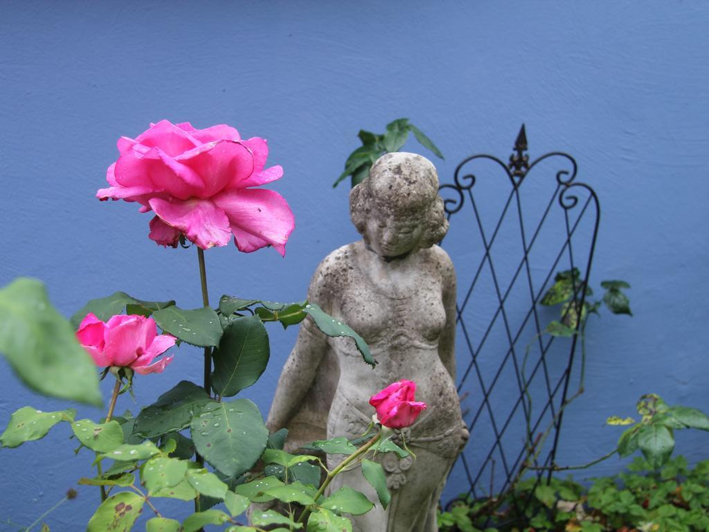 No.31 B&B im Rosengarten Kapellen-Drusweiler Bagian luar foto