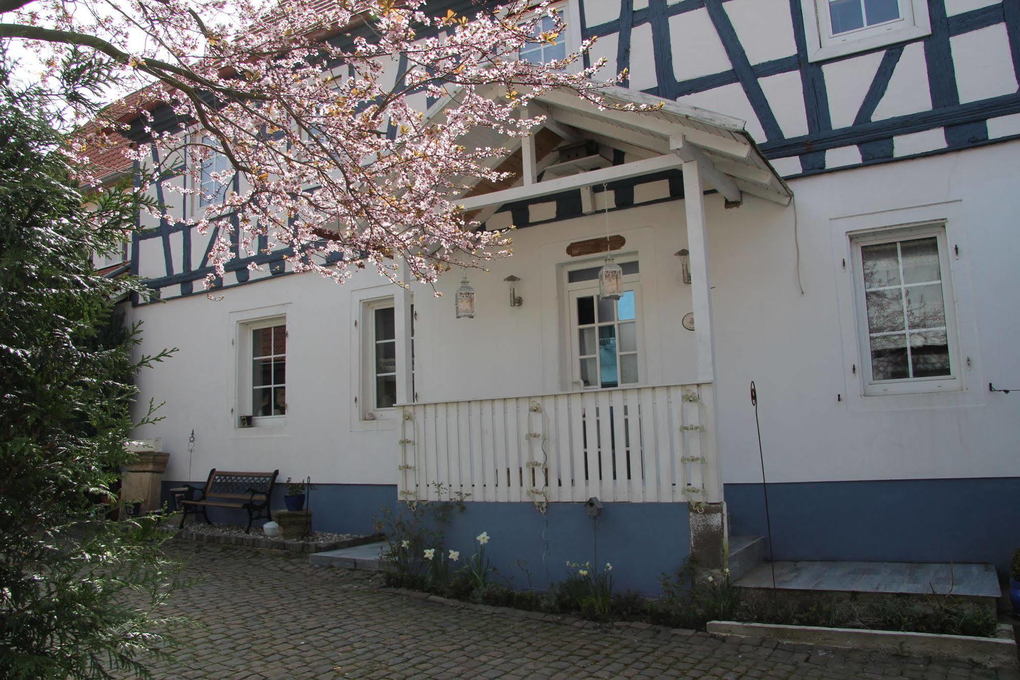 No.31 B&B im Rosengarten Kapellen-Drusweiler Bagian luar foto