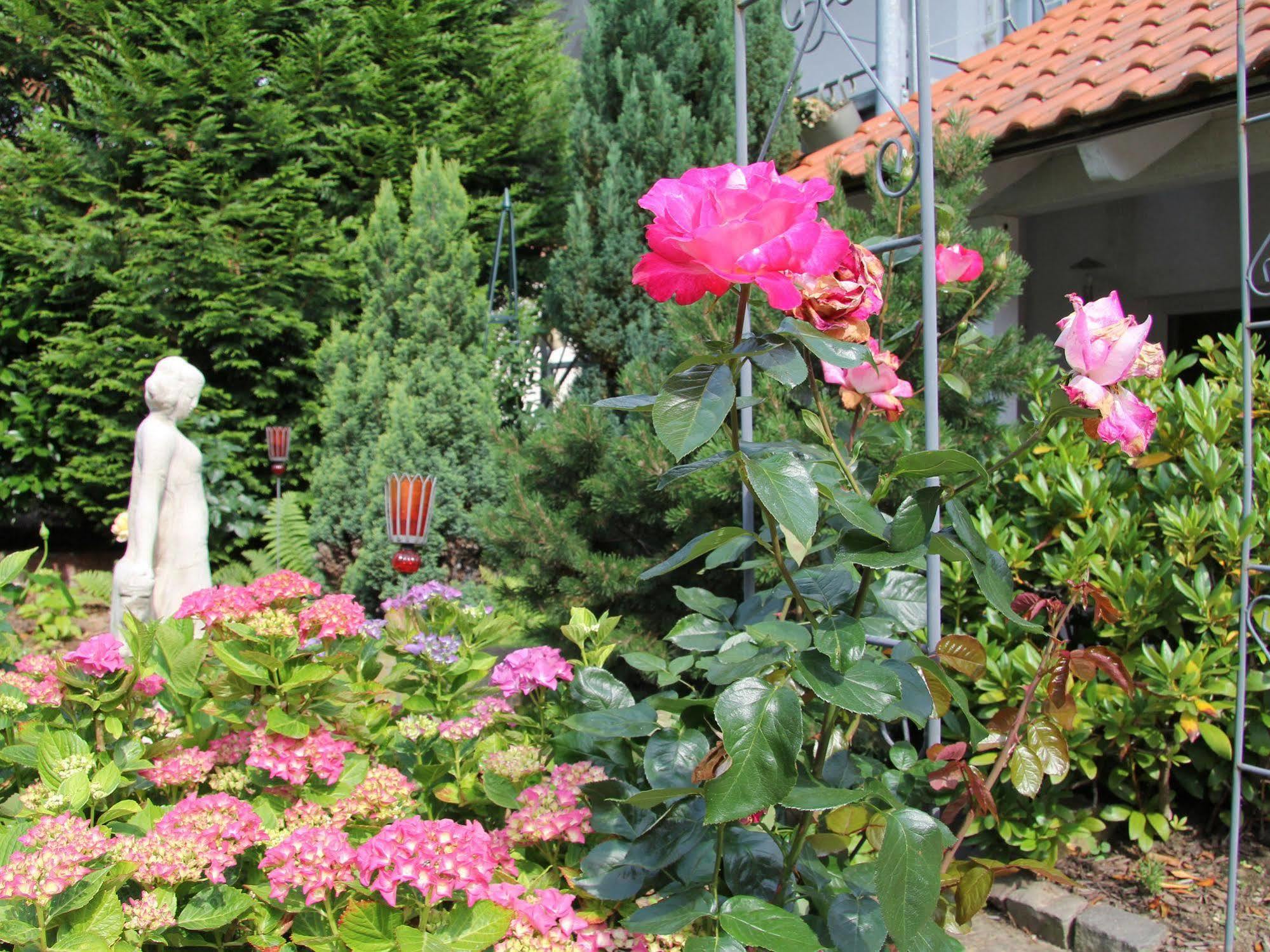 No.31 B&B im Rosengarten Kapellen-Drusweiler Bagian luar foto
